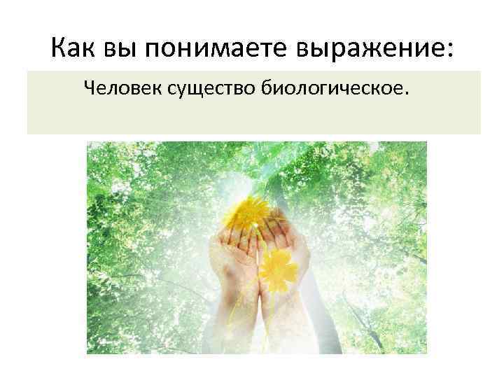 Как вы понимаете выражение: Человек существо биологическое. 
