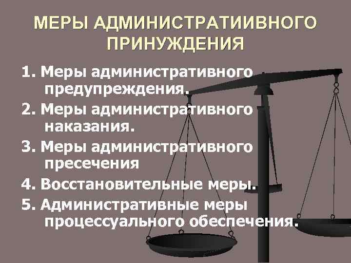 Меры обеспечения производства по делам административных правонарушений