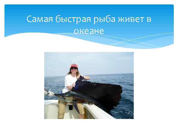 Самая быстрая рыба живет в океане 