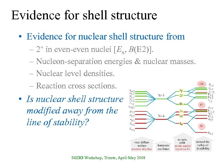 Evidence for shell structure • Evidence for nuclear shell structure from – 2+ in