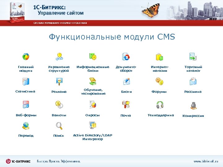 Функциональные модули CMS Управление структурой Информационные блоки Документооборот Интернетмагазин Статистика Реклама Обучение, тестирование Блоги