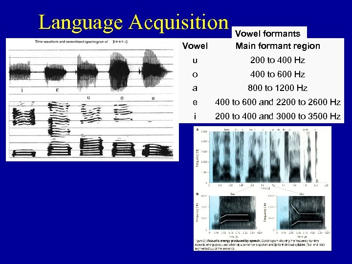 Language Acquisition Vowel formants Main formant region u 200 to 400 Hz o 400