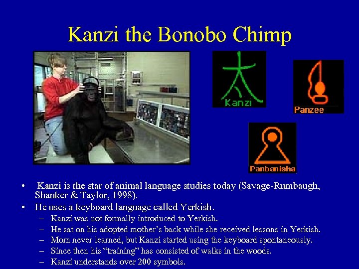 Kanzi the Bonobo Chimp • Kanzi is the star of animal language studies today
