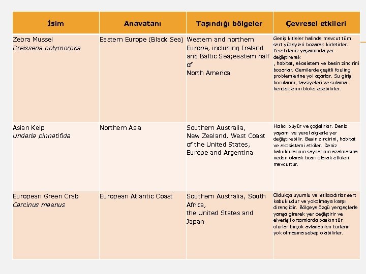 İsim Zebra Mussel Dreissena polymorpha Anavatanı Taşındığı bölgeler Çevresel etkileri Geniş kitleler halinde mevcut