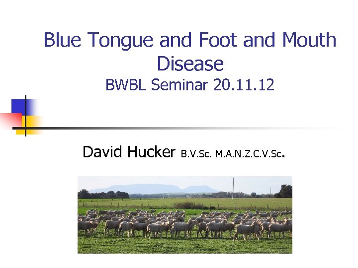 Blue Tongue and Foot and Mouth Disease BWBL Seminar 20. 11. 12 David Hucker