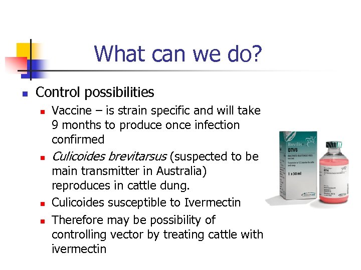 What can we do? n Control possibilities n n Vaccine – is strain specific