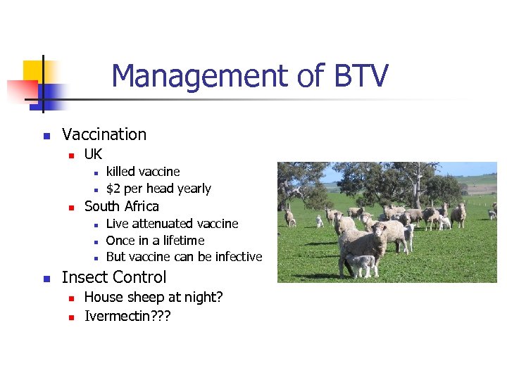 Management of BTV n Vaccination n UK n n n South Africa n n