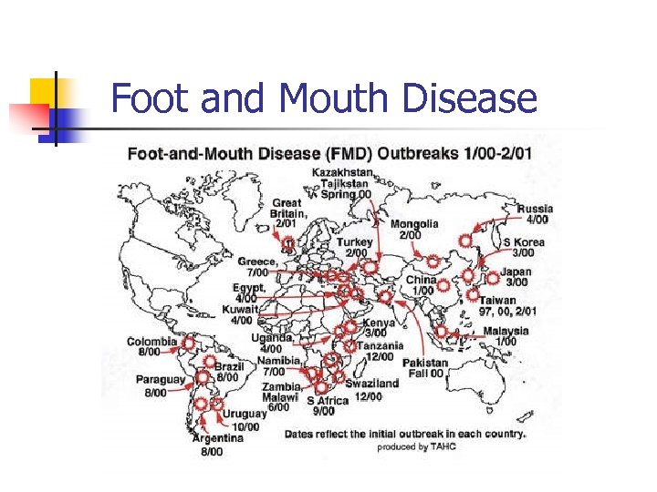 Foot and Mouth Disease 