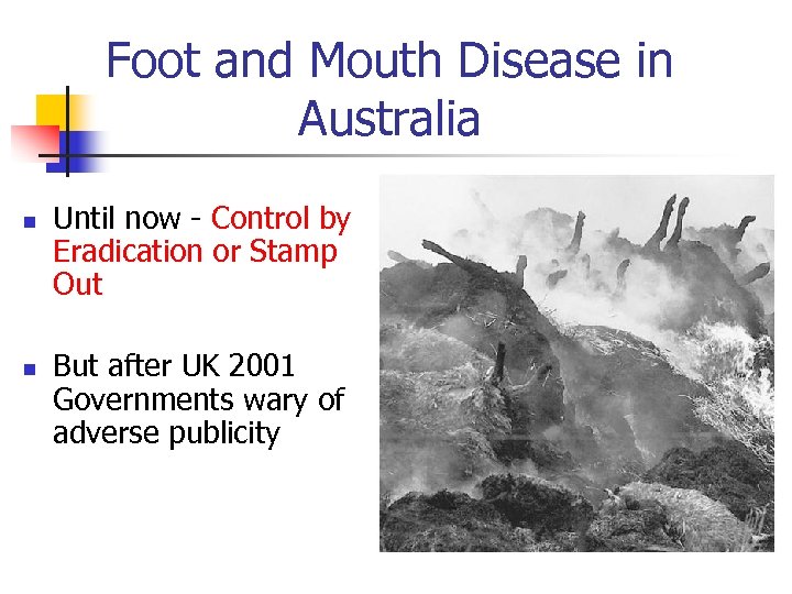 Foot and Mouth Disease in Australia n n Until now - Control by Eradication