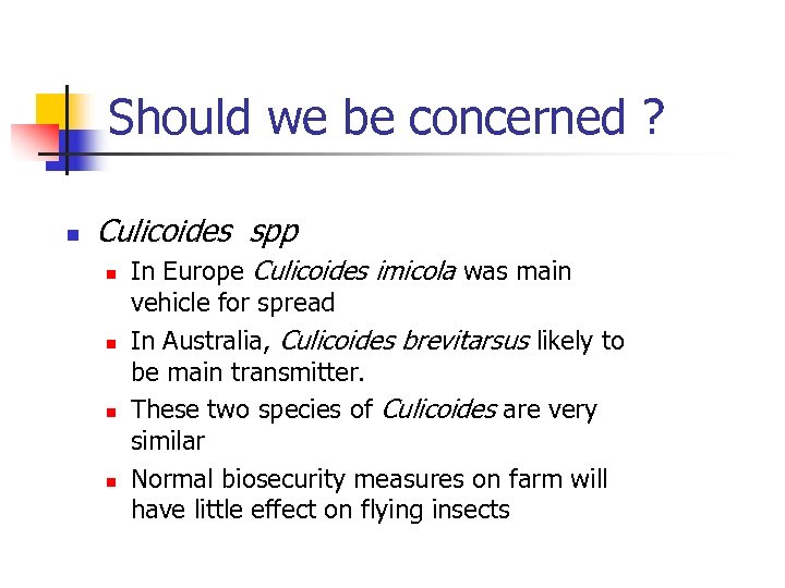 Should we be concerned ? n Culicoides spp n n In Europe Culicoides imicola