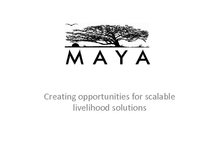 Creating opportunities for scalable livelihood solutions 