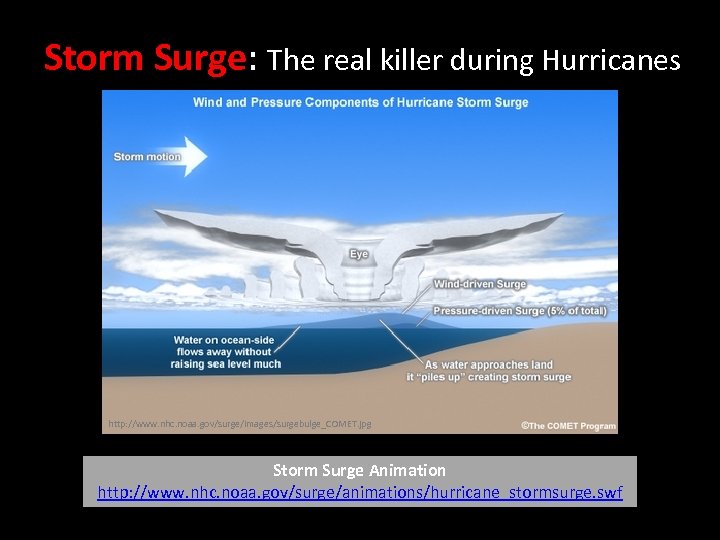 Storm Surge: The real killer during Hurricanes http: //www. nhc. noaa. gov/surge/images/surgebulge_COMET. jpg Storm