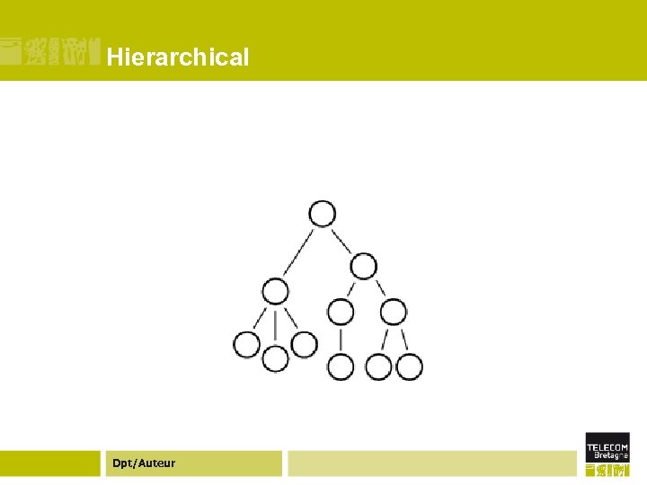 Hierarchical Dpt/Auteur 