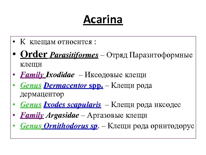 Acarina • К клещам относится : • Оrder Parasitiformes – Отряд Паразитоформные • •