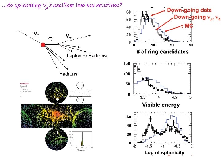 . . . do up-coming s oscillate into tau neutrinos? 