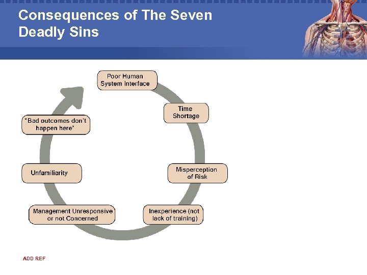 Consequences of The Seven Deadly Sins ADD REF 