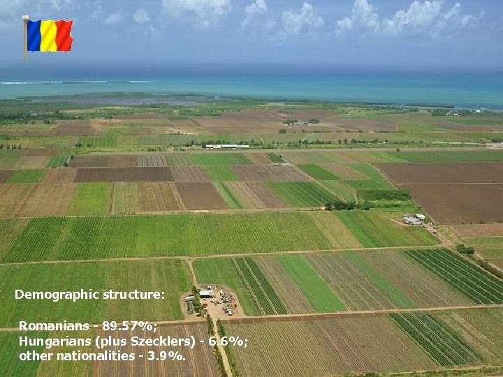 Demographic structure: Romanians - 89. 57%; Hungarians (plus Szecklers) - 6. 6%; other nationalities