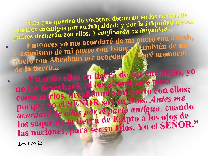 de ecaerán en las tierras e sus sotros d “Los queden de vo iquidad;