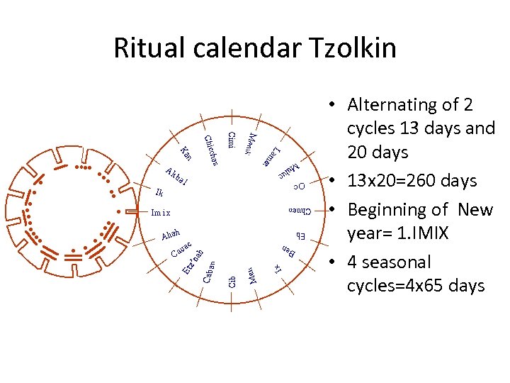 Ritual calendar Tzolkin • Alternating of 2 cycles 13 days and 20 days •