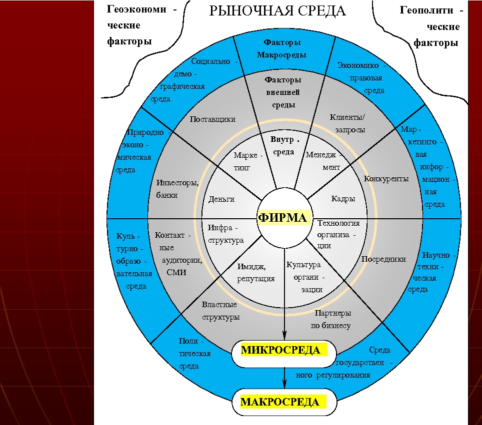 Организация и ее окружение