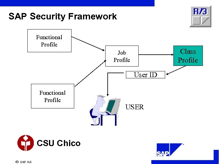 SAP Security Framework Functional Profile Class Profile Job Profile User ID Functional Profile CSU