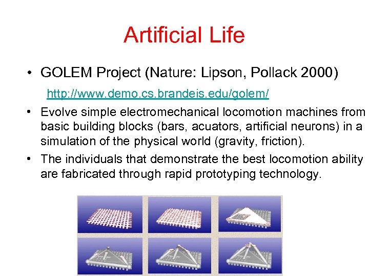 Artificial Life • GOLEM Project (Nature: Lipson, Pollack 2000) http: //www. demo. cs. brandeis.