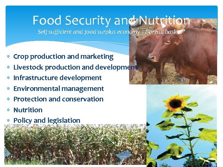 Food Security and Nutrition Self sufficient and food surplus economy – “bread basket” Crop