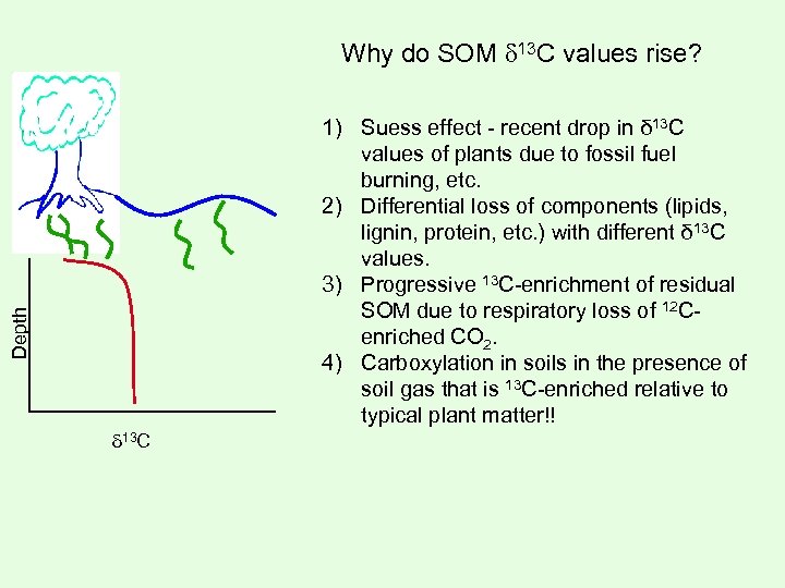 Why do SOM 13 C values rise? Depth 1) Suess effect - recent drop