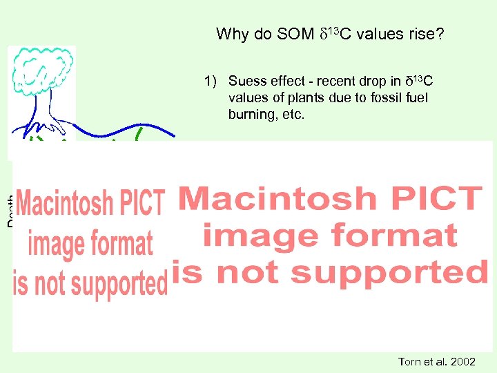 Why do SOM 13 C values rise? Depth 1) Suess effect - recent drop