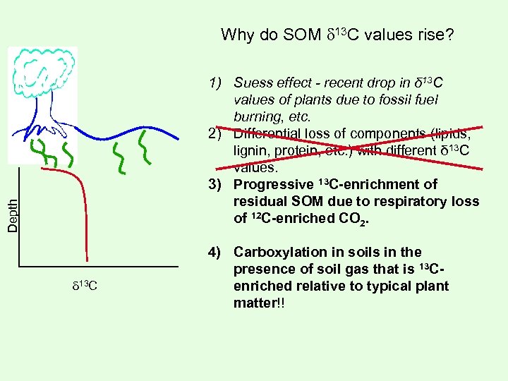 Why do SOM 13 C values rise? Depth 1) Suess effect - recent drop