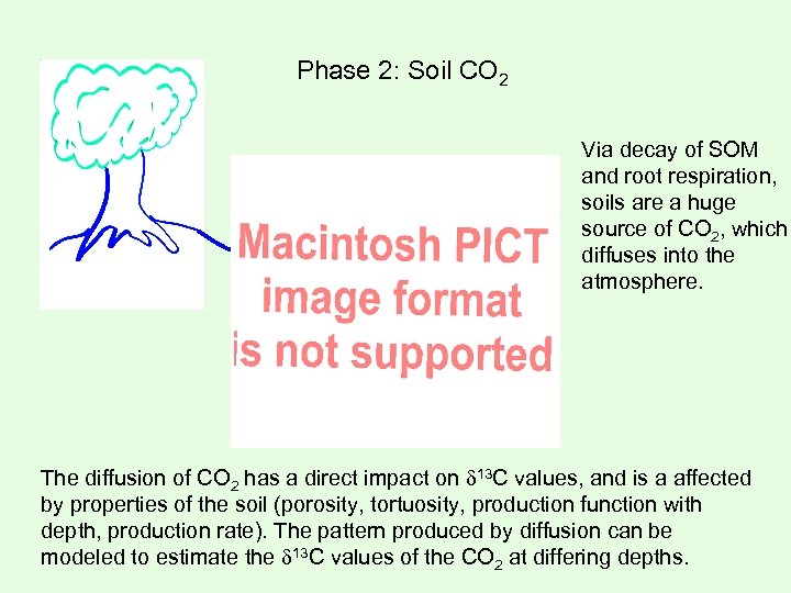 Phase 2: Soil CO 2 Via decay of SOM and root respiration, soils are