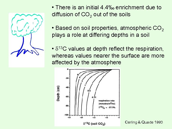  • There is an initial 4. 4‰ enrichment due to diffusion of CO