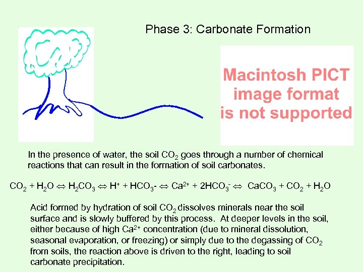 Phase 3: Carbonate Formation In the presence of water, the soil CO 2 goes