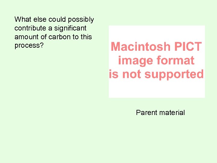 What else could possibly contribute a significant amount of carbon to this process? Parent