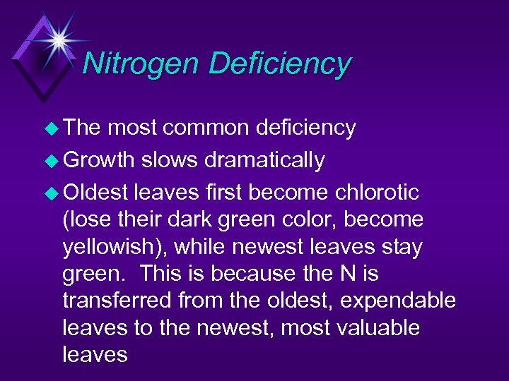 Nitrogen Deficiency u The most common deficiency u Growth slows dramatically u Oldest leaves