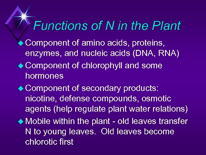 Functions of N in the Plant u Component of amino acids, proteins, enzymes, and