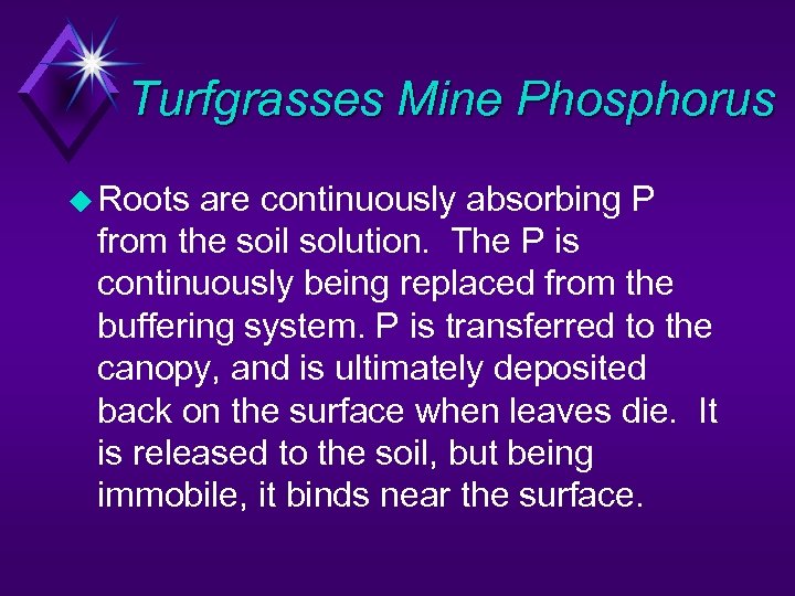 Turfgrasses Mine Phosphorus u Roots are continuously absorbing P from the soil solution. The