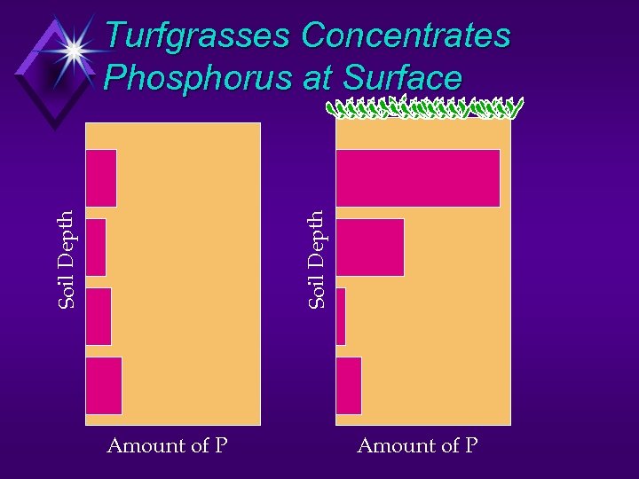 Soil Depth Turfgrasses Concentrates Phosphorus at Surface Amount of P 