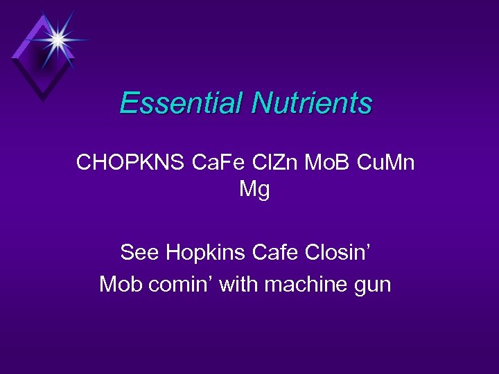 Essential Nutrients CHOPKNS Ca. Fe Cl. Zn Mo. B Cu. Mn Mg See Hopkins
