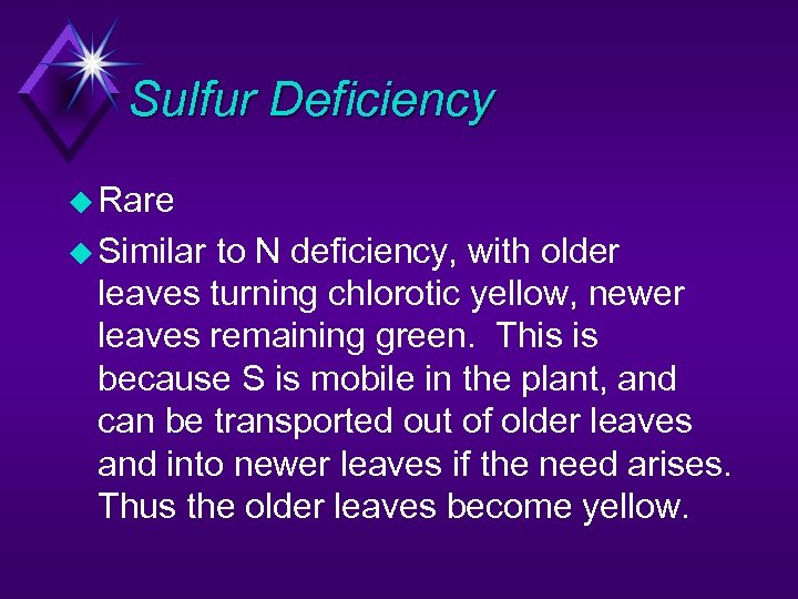 Sulfur Deficiency u Rare u Similar to N deficiency, with older leaves turning chlorotic