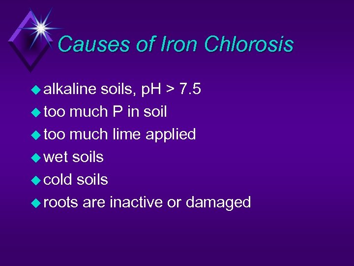 Causes of Iron Chlorosis u alkaline soils, p. H > 7. 5 u too