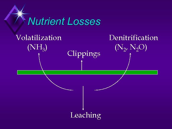 Nutrient Losses Volatilization (NH 3) Clippings Leaching Denitrification (N 2, N 2 O) 