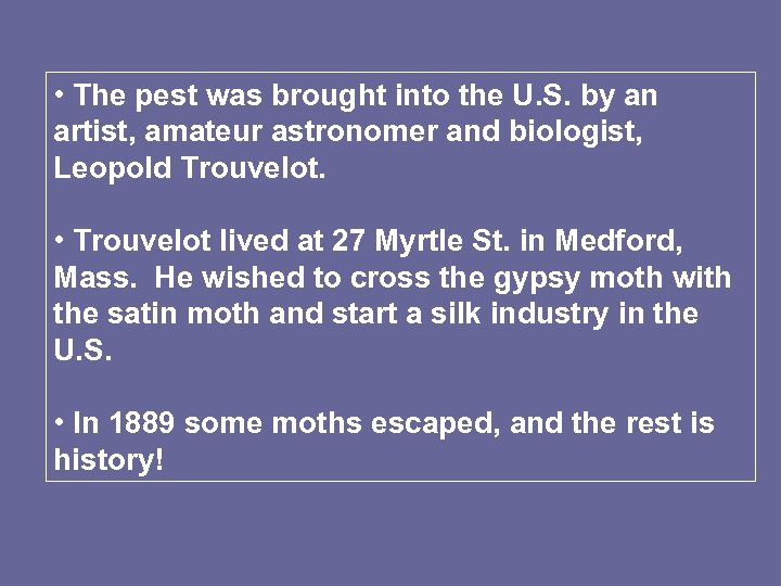  • The pest was brought into the U. S. by an artist, amateur