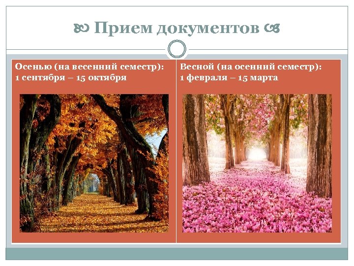  Прием документов Осенью (на весенний семестр): 1 сентября – 15 октября Весной (на