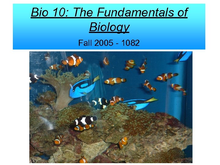 Bio 10: The Fundamentals of Biology Fall 2005 - 1082 