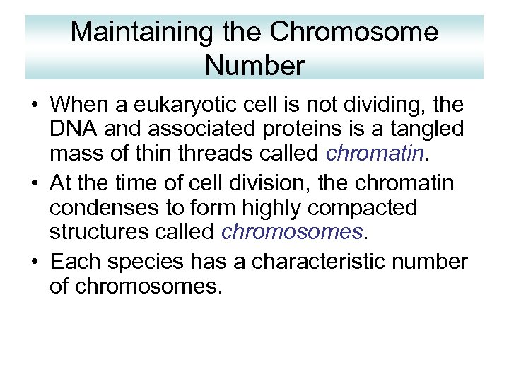 Maintaining the Chromosome Number • When a eukaryotic cell is not dividing, the DNA