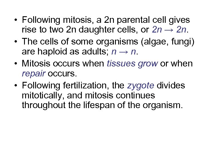  • Following mitosis, a 2 n parental cell gives rise to two 2
