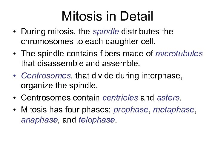 Mitosis in Detail • During mitosis, the spindle distributes the chromosomes to each daughter