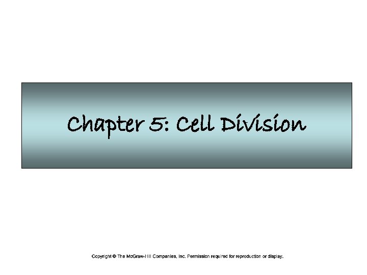 Chapter 5: Cell Division 