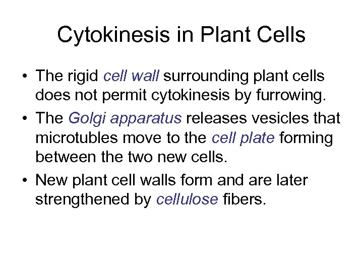 Cytokinesis in Plant Cells • The rigid cell wall surrounding plant cells does not